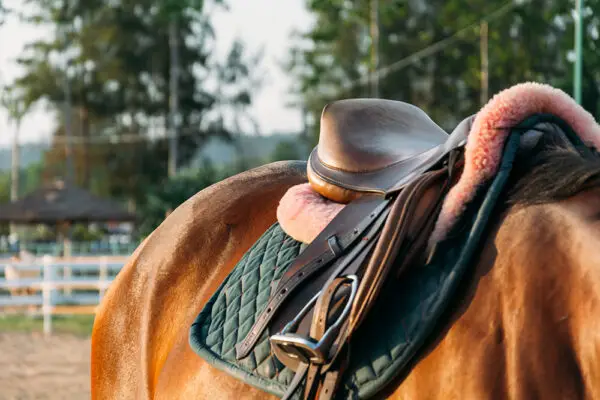 Niño de 12 años falleció tras caer de un caballo en Rengo