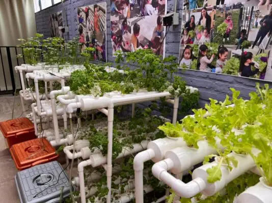 Inauguran primer huerto flotante en Cordillerilla