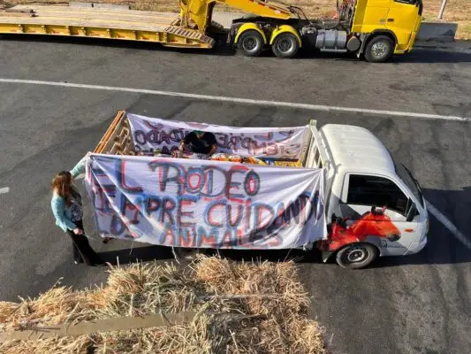 Federación de Rodeo realiza campaña para ir en ayuda de animales víctimas del incendio de Viña del Mar