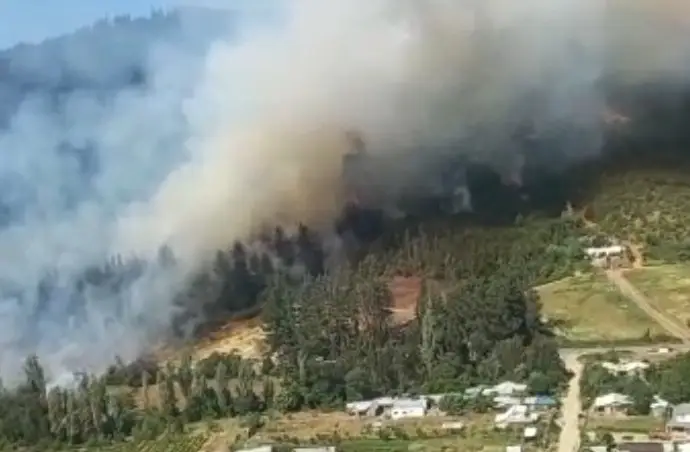 Onemi decreta alerta amarilla por incendio forestal en Pencahue