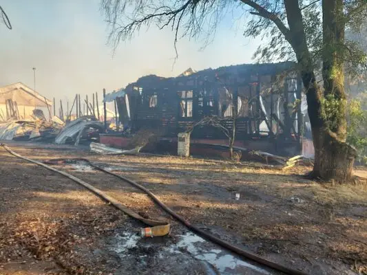 Onemi declaró alerta roja por incendios forestales en Curicó, Romeral y San Clemente
