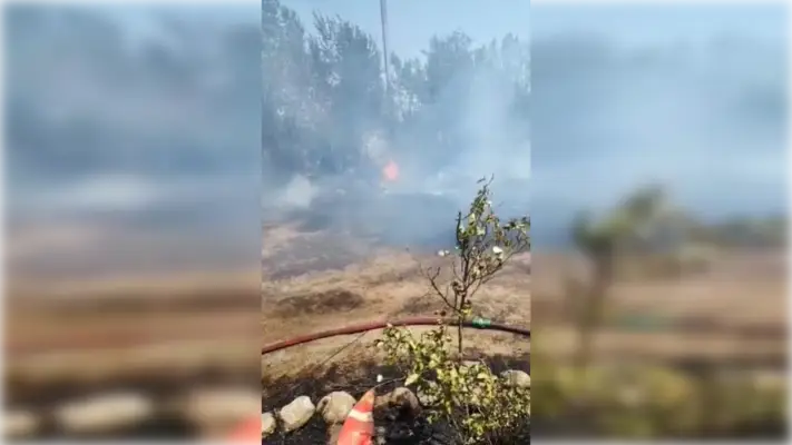 Incendio destruye dos bodegas en Avenida Bellavista de Teno