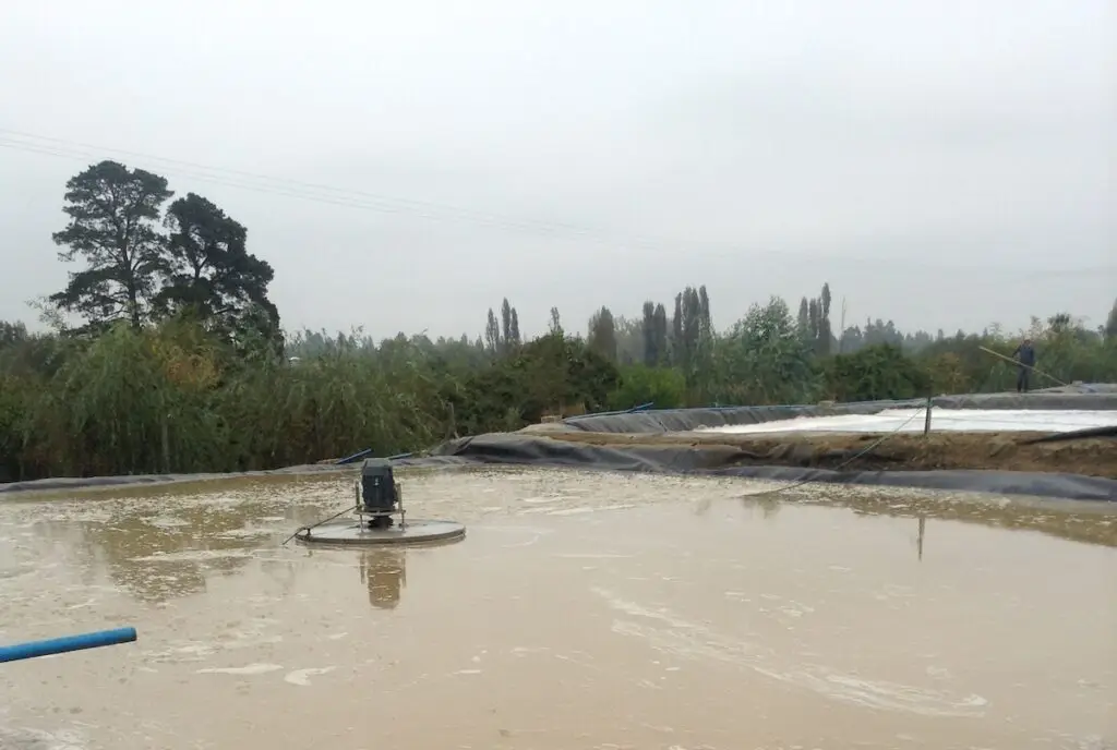 Embotelladora tendrá que pagar multa de $1.090 millones por provocar malos olores en Parral