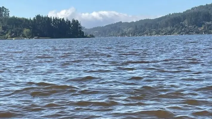 “Las autoridades regionales son los principales responsables de la contaminación en el Lago Vichuquén”, expresó el alcalde Patricio Rivera