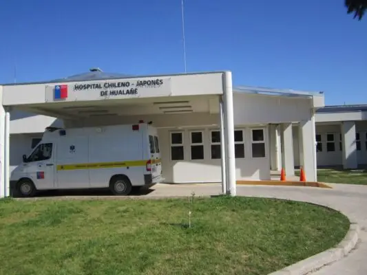 Madre intentó matar a sus hijas de 7 y 19 años en la comuna de Hualañé 
