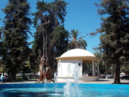 225 canciones se inscribieron para ser parte del Festival de la Vendimia de Molina
