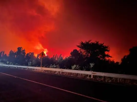 Chile registra 176 incendios forestales activos: 37 de ellos se están combatiendo