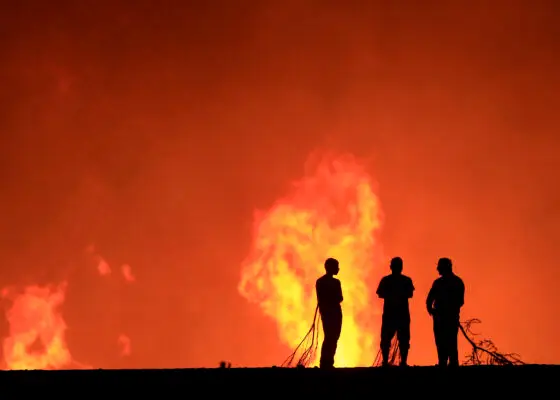 Decretan alerta roja por incendio forestal en Cauquenes: hay 150 hectáreas afectadas
