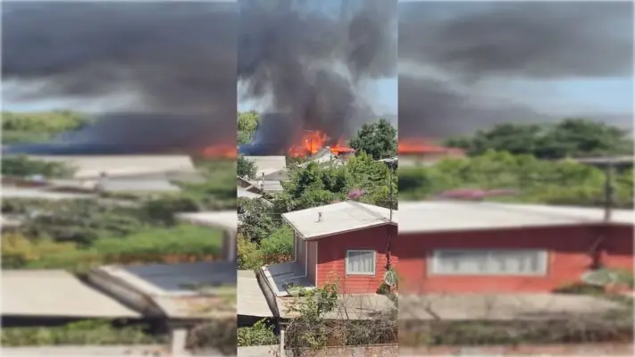 Incendio afecta a viviendas en sector Aguas Negras de Curicó