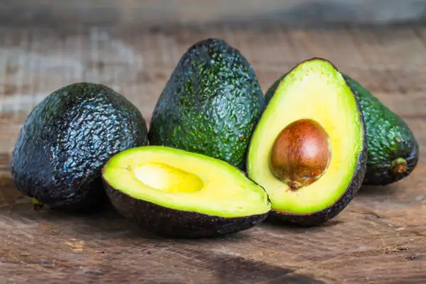 Expertos sostienen que el valor del kilo de palta se aproximaría a $10.000 pesos