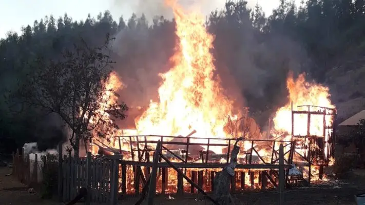 Detienen a comunero mapuche por extorsionar con $18 millones a dueño de bosque para no quemarle su terreno
