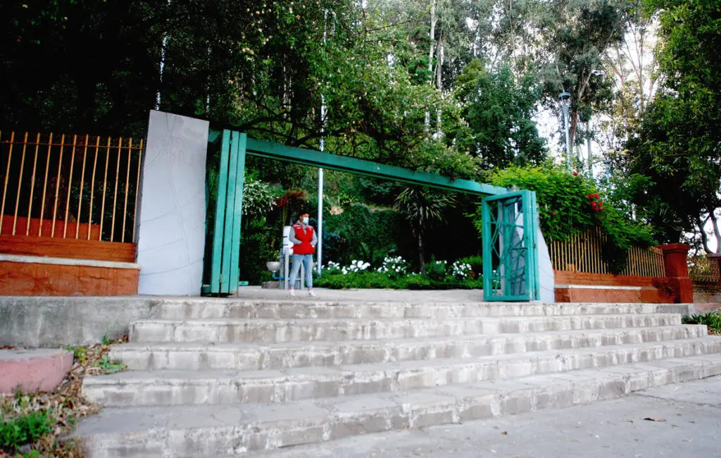 Concejal tras asesinato en Parque Cerro Condell: “Tenemos que implementar turnos y rondas 24/7 a la brevedad”