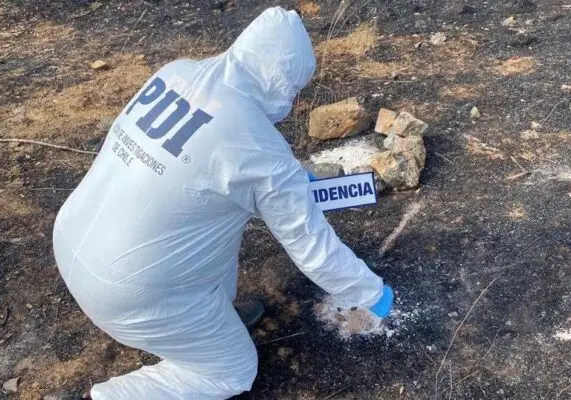 Detienen a trabajador por presunta intencionalidad en incendio forestal ocurrido en Curepto