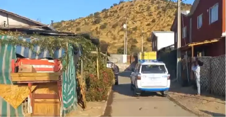 Horrendo femicidio en el Maule: Mujer es asesinada por su pareja a hachazos