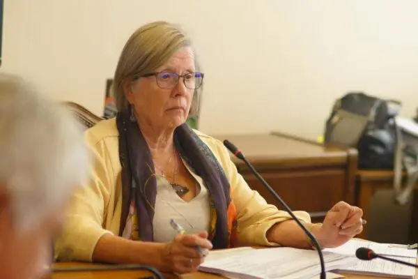 Diputada Mercedes Bulnes aprueba beneficios económicos propuestos por el Gobierno