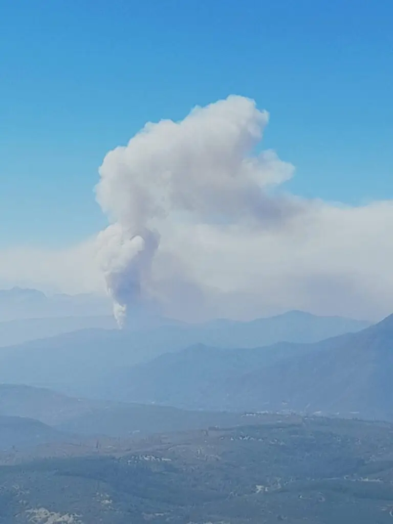 Ahora: Incendio forestal en el Peumal tiene 3 focos activos