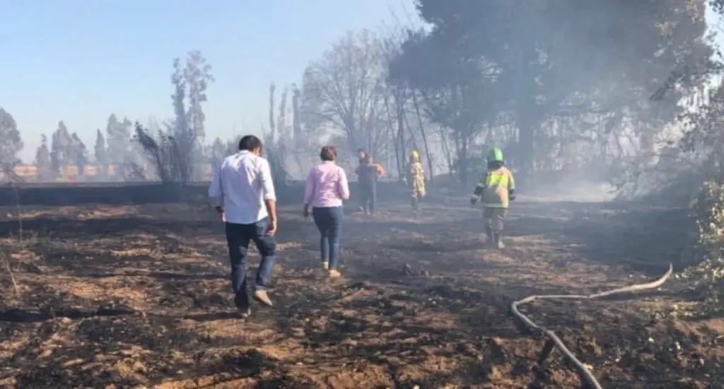 Con arresto domiciliario quedó el “pirómano de Río Claro”