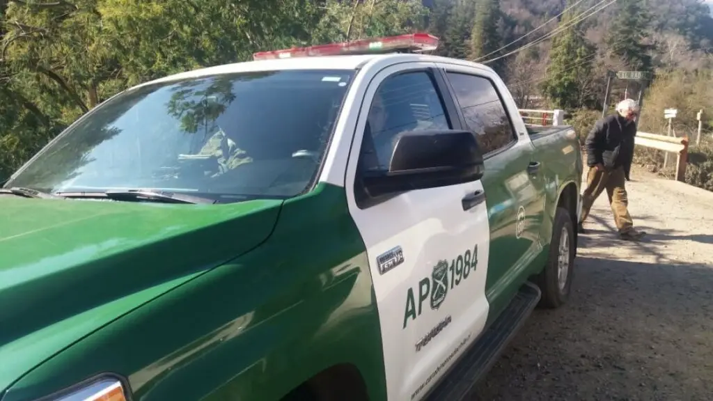 Carabineros de Radal Siete Tazas realiza rescate de turista accidentada en la cordillera