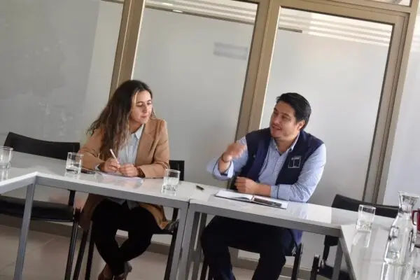 Municipio gestionará espacio para llevar caballares y bovinos que estén en la vía pública