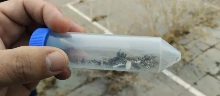 SAG confirmó presencia de larvas de termitas en ruinas de Escuela Balmaceda de Curicó
