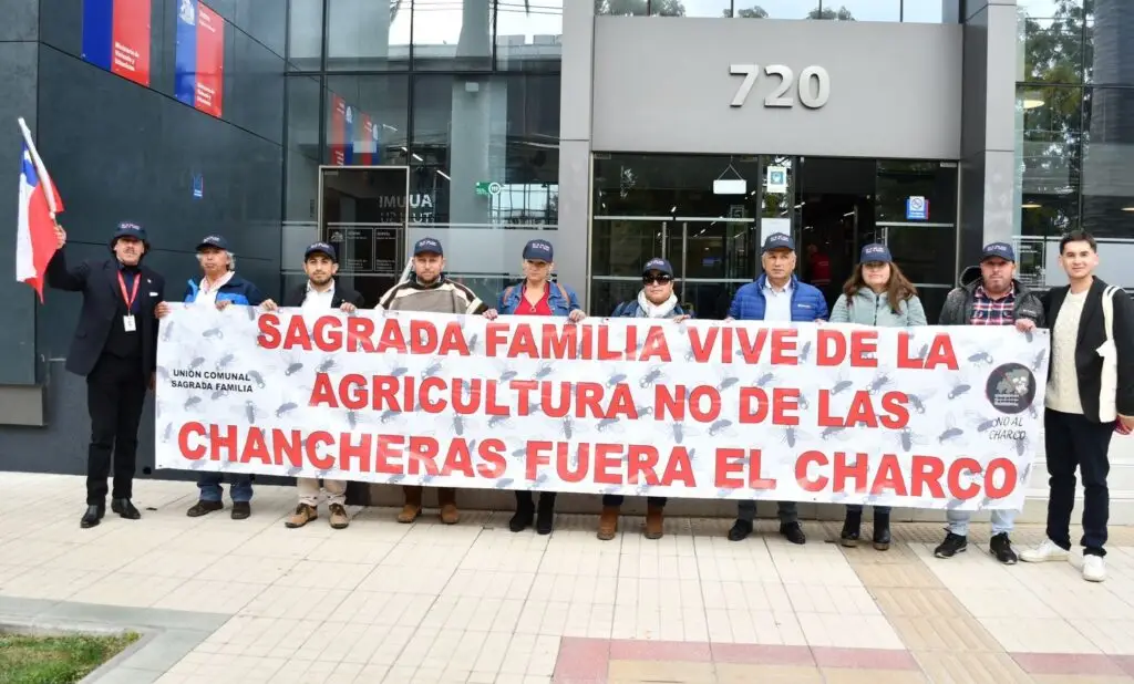 Servicio de Evaluación Ambiental rechazó proyecto de centro de engorda de cerdos en Sagrada Familia