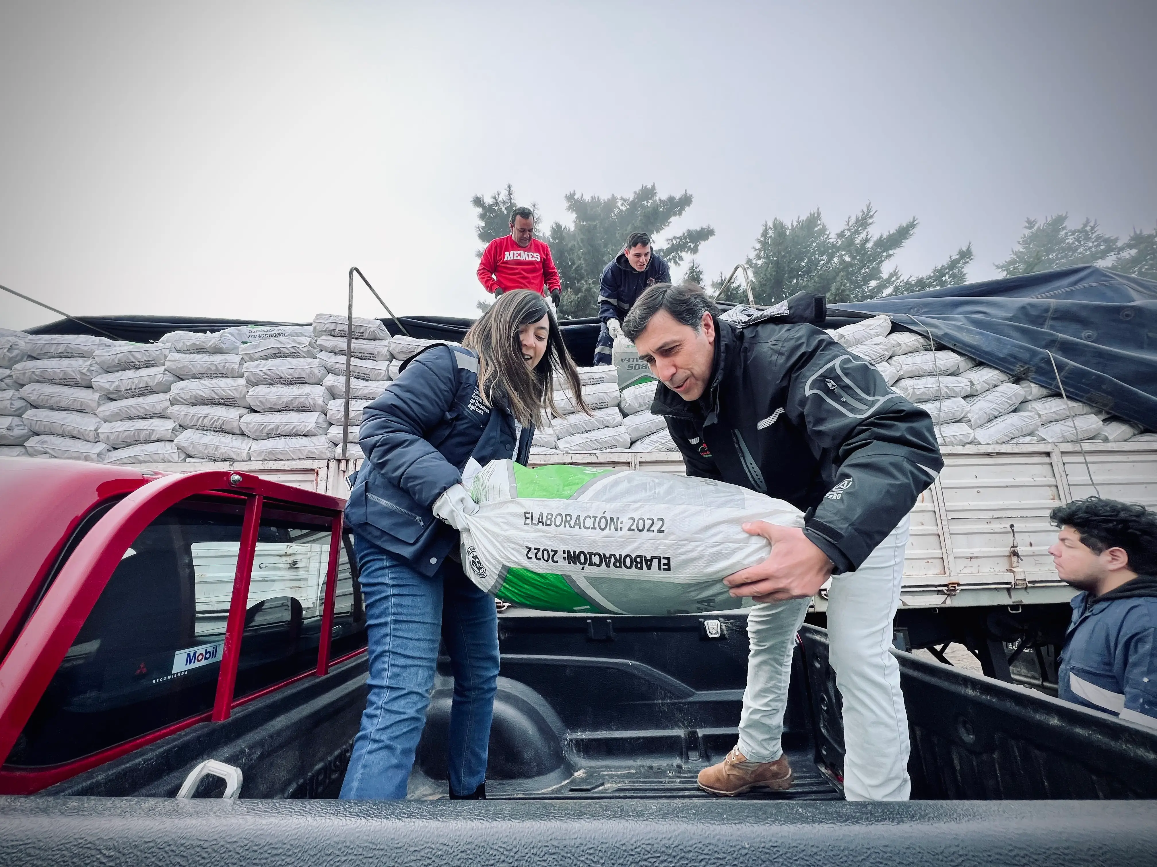 Municipio de Romeral e INDAP entregan mil 700 sacos de alfalfa a productores locales