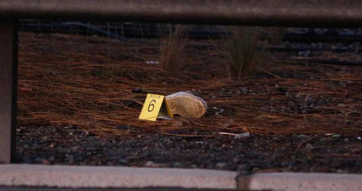 Encuentran a mujer y su bebé muertos al costado de la carretera en Villarrica: Fueron atropellados por conductor que se fugó