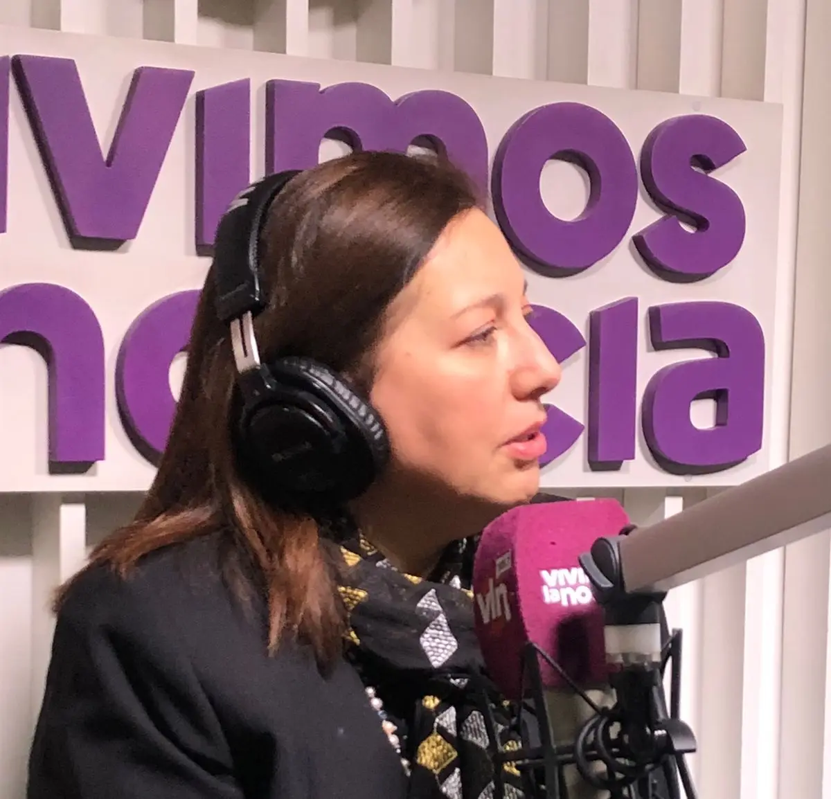 Senadora Paulina Vodanovic sostuvo que existe corrupción en Caso Convenios