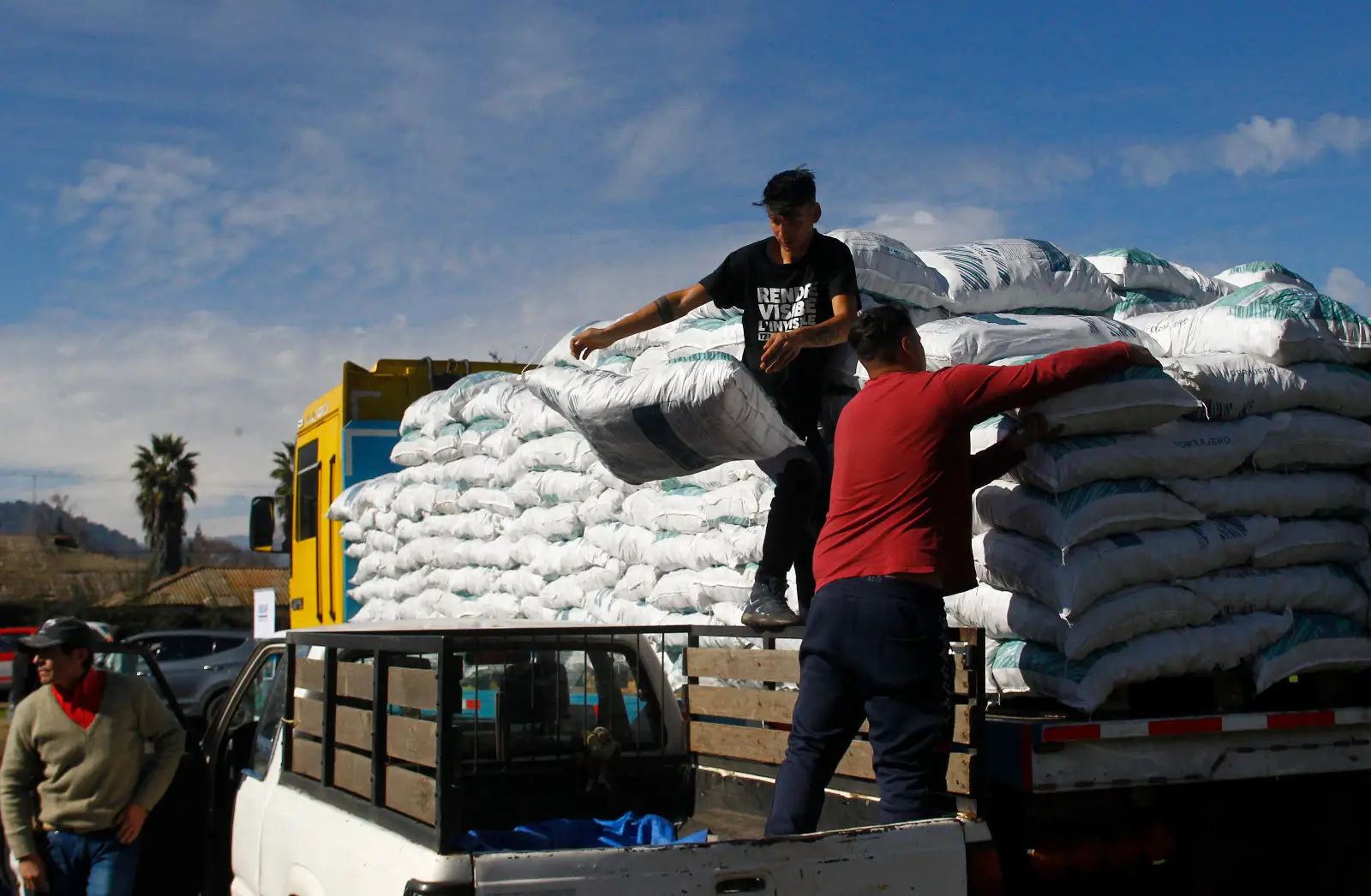 Ministerio de Agricultura entregó sacos de alimento para crianceros de animales afectados por temporal