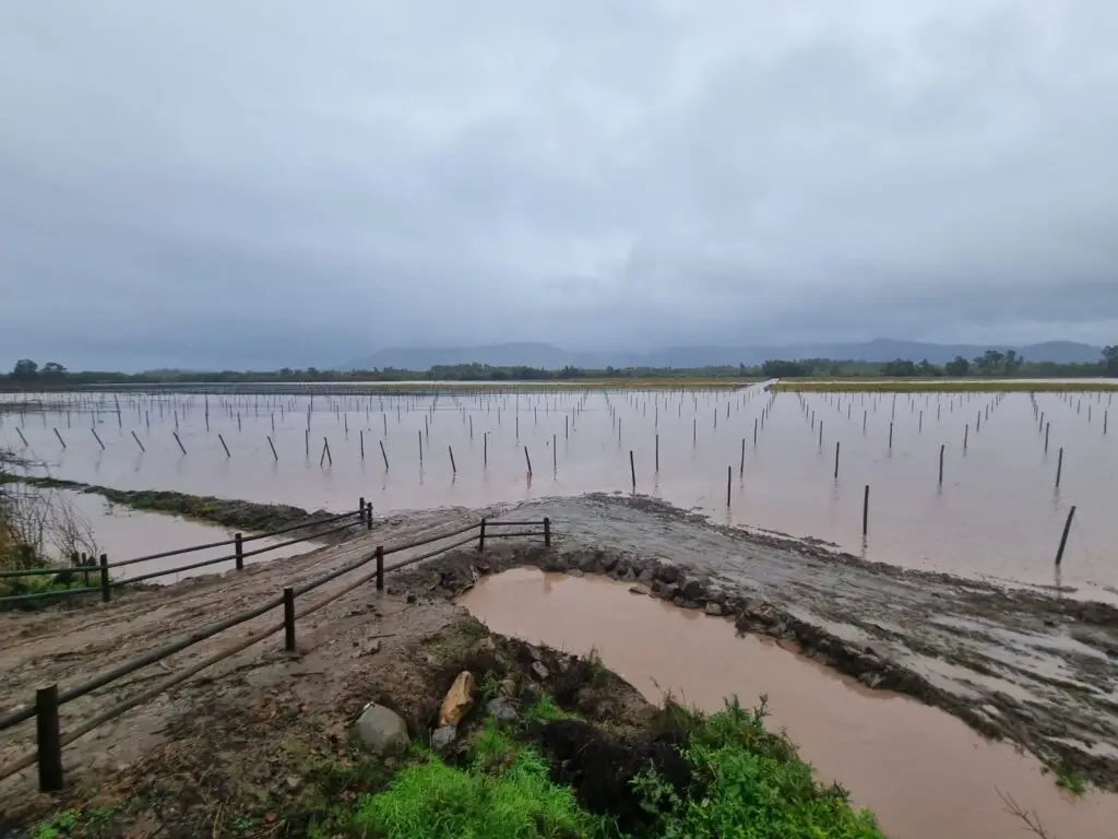 Director regional de Senapred anticipa posible desborde de ríos del Maule y llama a la precaución