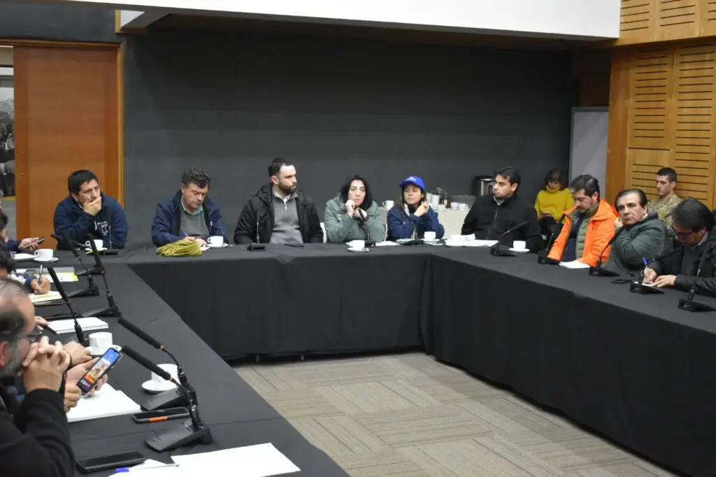 Gobernadora regional se reunió con 30 alcaldes del Maule para analizar situación tras sistema frontal