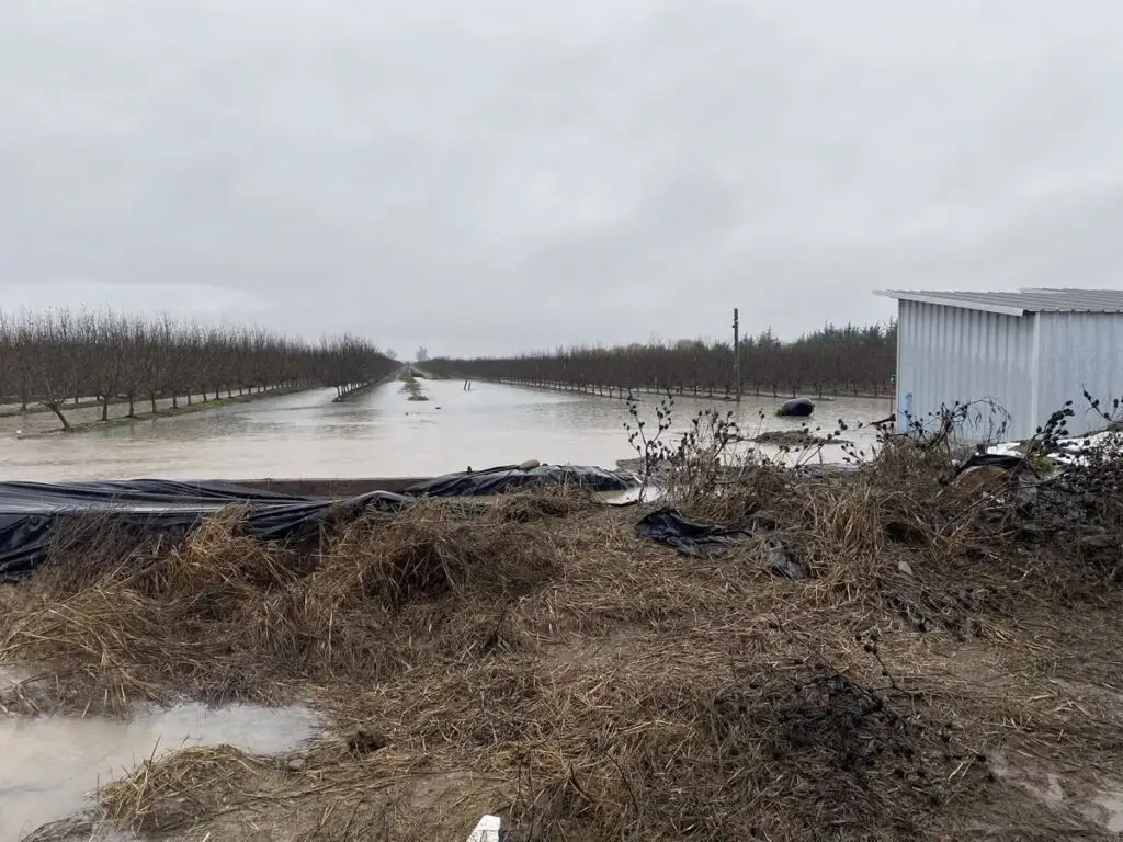 Sector agrícola advierte que daños por lluvias podrían superar los de junio