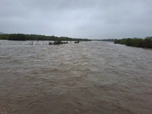 Ordenan evacuar sectores de Hualañé y Sagrada Familia por desborde de río Mataquito