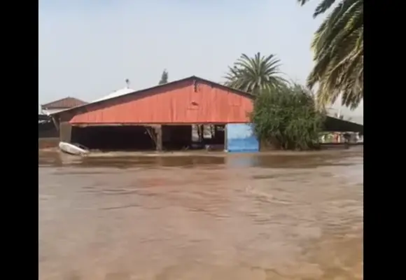 Habitantes de sector Idahue en Licantén piden corte de brazo del Río Mataquito para resolver problemas por inundación