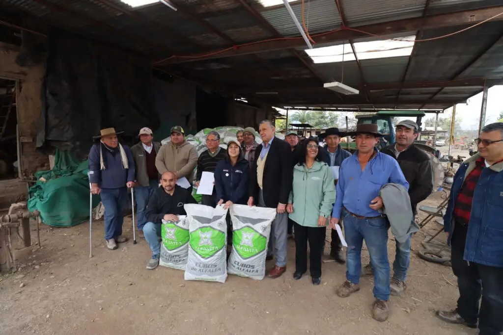 Agricultores de Rauco recibieron nueva ayuda de alimentación para sus animales