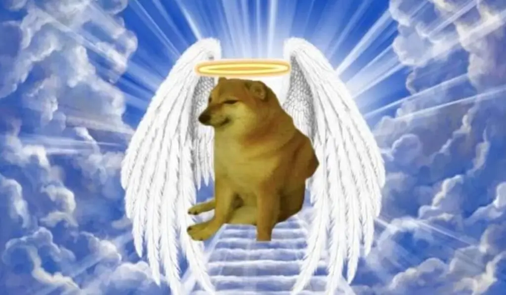 Murió "Cheems", el popular perrito Shiba Inu del meme