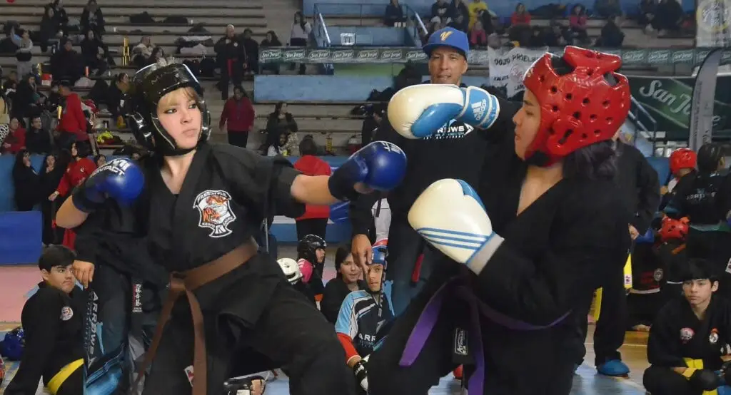 Con éxito se realizó el Open Kenpo Gikan en Curicó