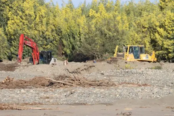 Siguen trabajos en el borde río de Rauco para proteger predios y zonas habitadas