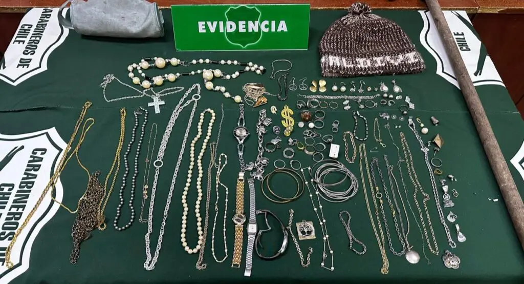 Carabineros de Molina detuvo a sujeto por robos a viviendas y homicidio frustrado a funcionario
