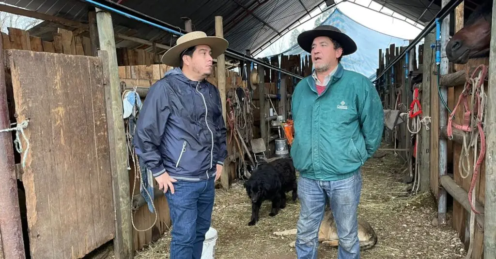 Criadores reciben respaldo ante daños causados por temporal en Curicó