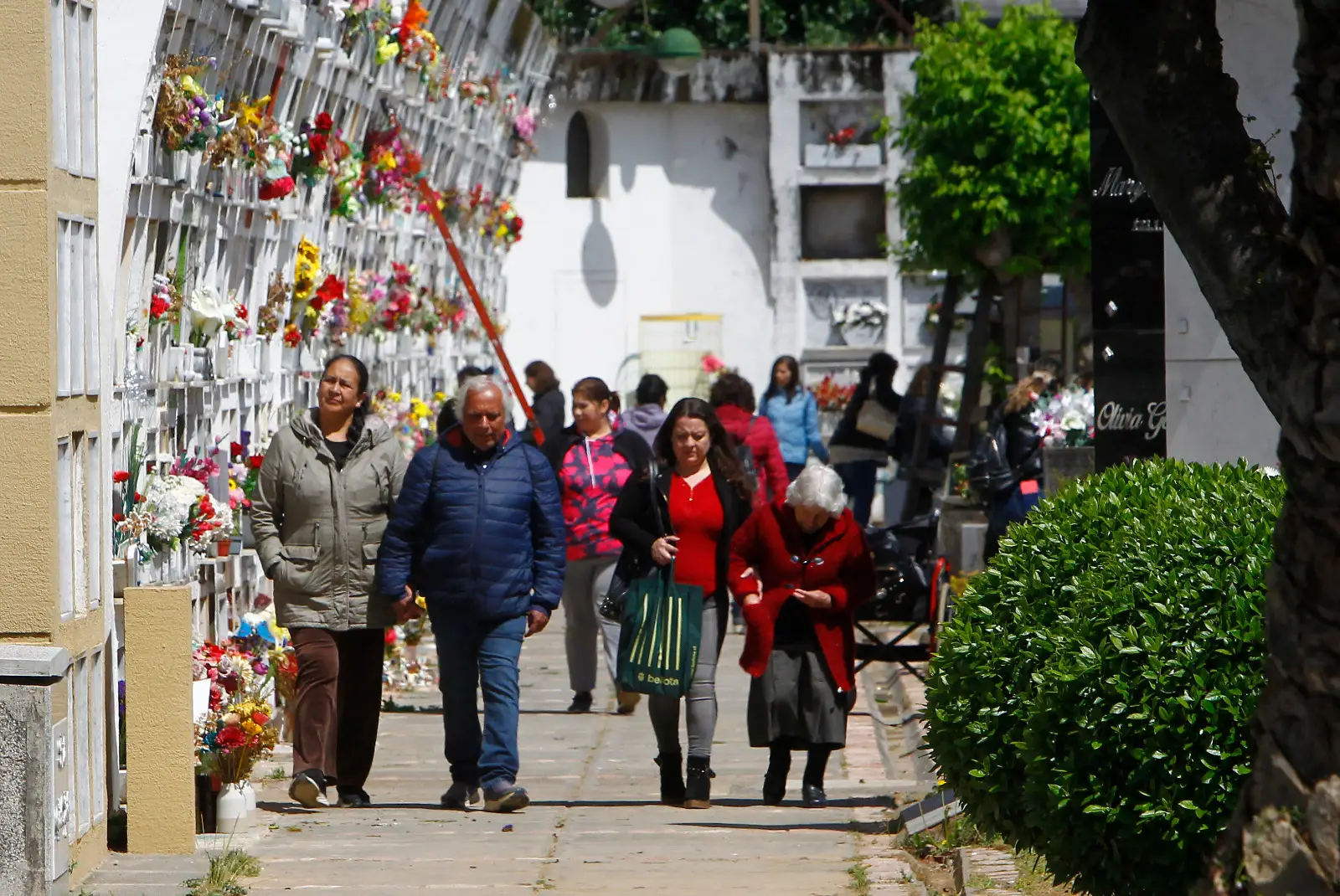 Cementerio Municipal de Curicó alista recepción a la comunidad en el Día de Todos Los Santos