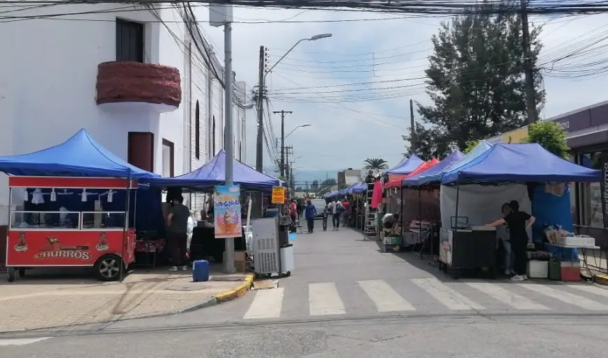 Carabineros de Molina retiraron a vendedores ambulantes que se tomaron la calle durante aniversario comunal