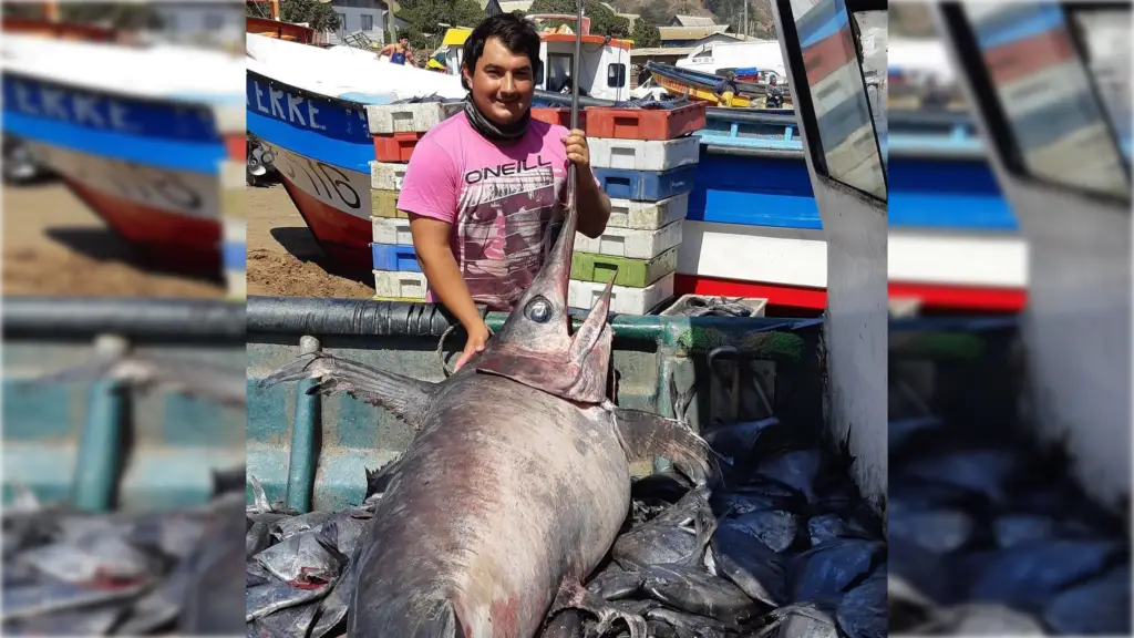 Joven pescador de Iloca sufre accidente que lo mantiene grave en el Hospital de Curicó