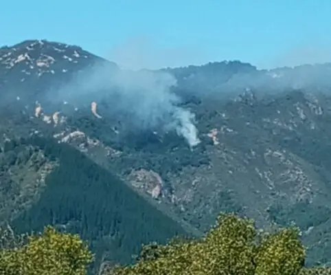 Incendio forestal afecta a Cerro Traruñé en la comuna de Molina