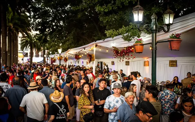 Municipio de Curicó publicó bases de postulación a stands de venta para Fiesta de la Vendimia 2024