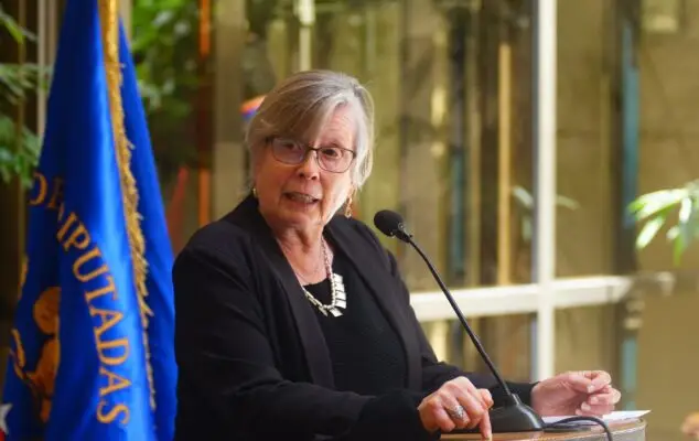 Diputada Bulnes criticó Acusación Constitucional contra ministro Montes
