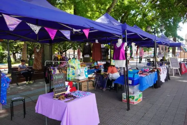 Con éxito se realizó tercera feria inclusiva de emprendedores locales de Curicó
