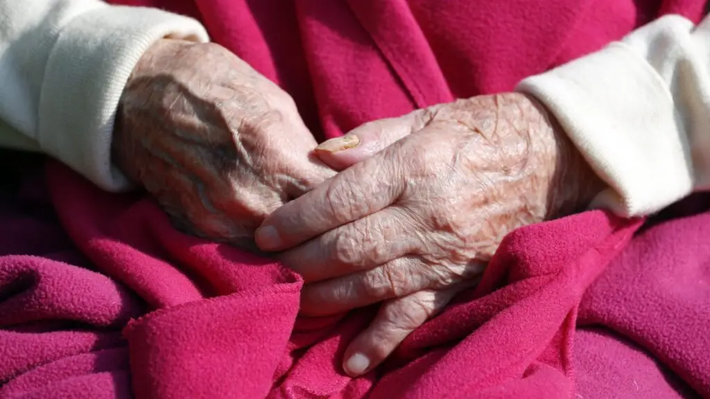 Adulta de 102 años con Alzheimer podría ir a la cárcel por no votar en Plebiscito Constitucional