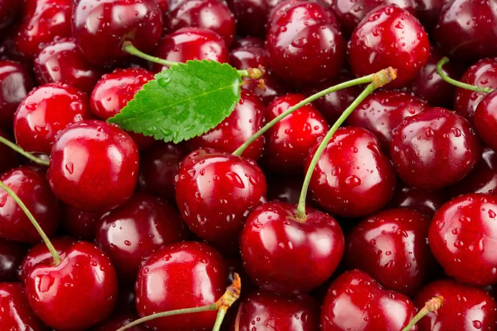 Cerezas chilenas a la deriva: Un viaje con sabor a incertidumbre