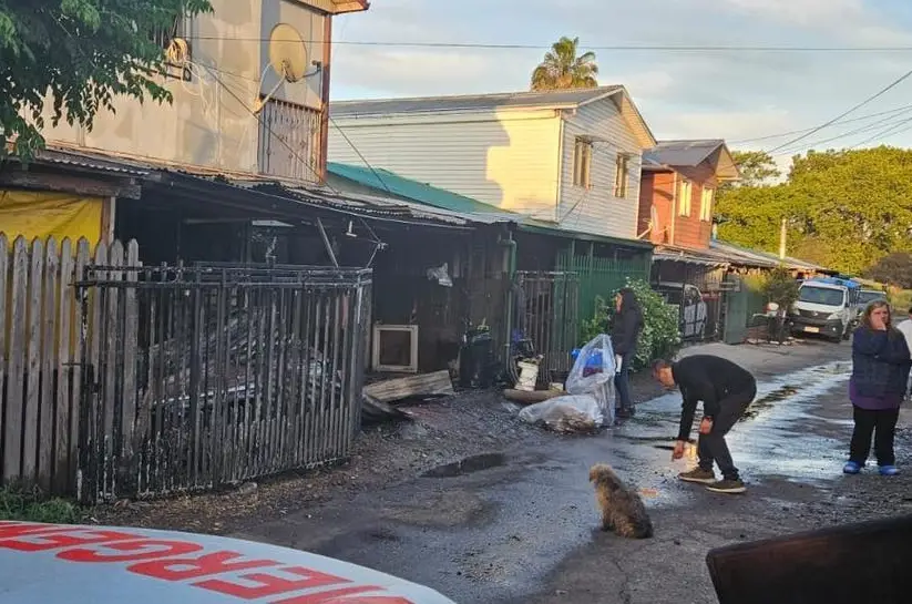 Incendio destruyó vivienda y causó muerte de cinco perros en Villa Primavera de Lontué